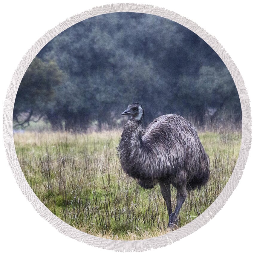 Emu. Emus Round Beach Towel featuring the photograph Early Morning Stroll by Douglas Barnard