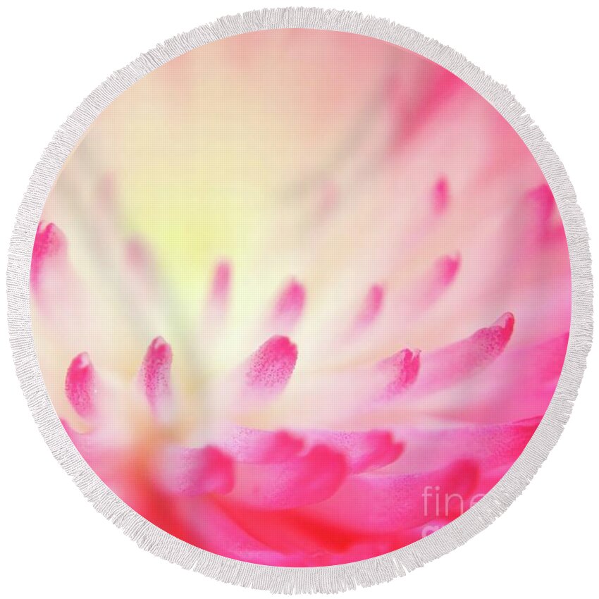 Flower Round Beach Towel featuring the photograph Effervescence by Aimelle Ml