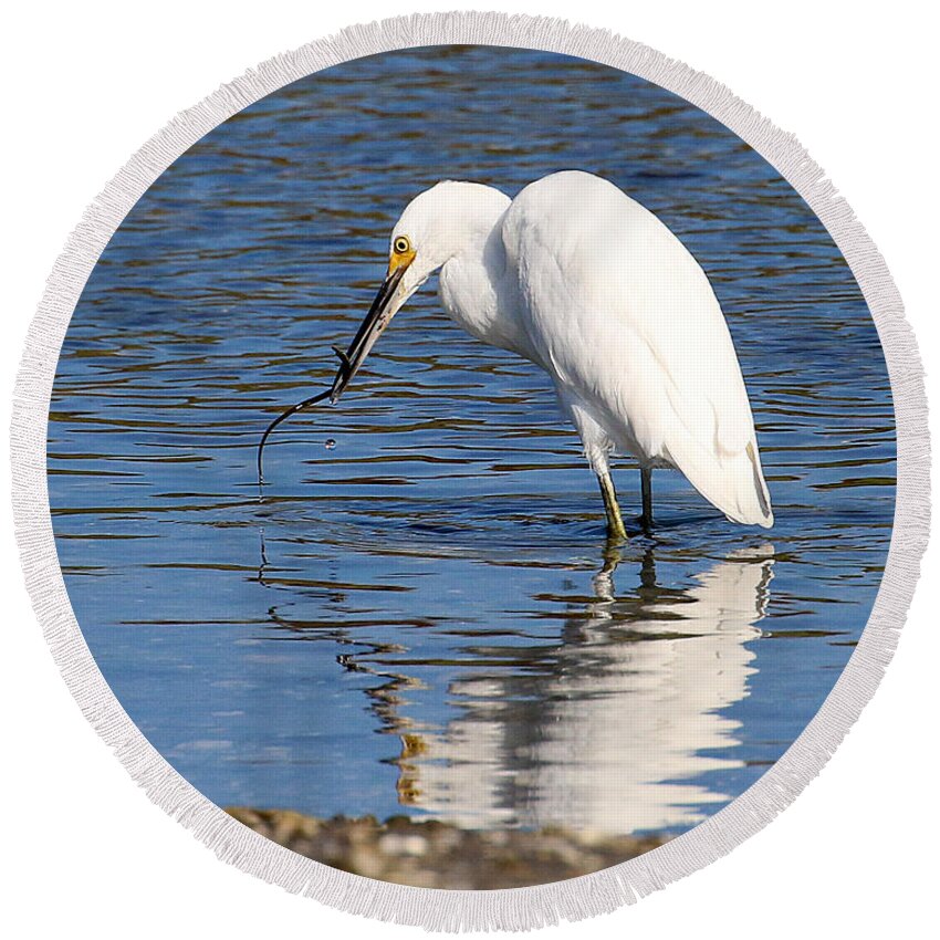 Wildlife Round Beach Towel featuring the photograph Egret Eating Eel 4 by William Selander