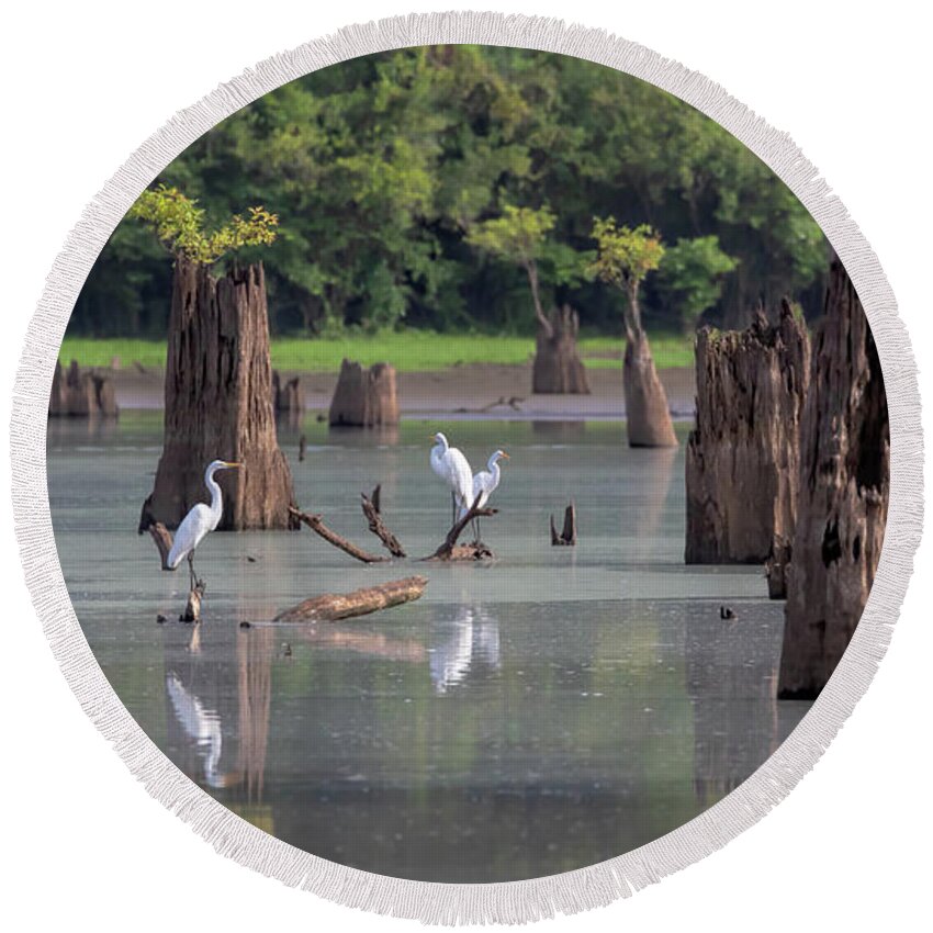 Atchafalaya River Basin Round Beach Towel featuring the photograph Egrets in the Bayou by Susan Rissi Tregoning