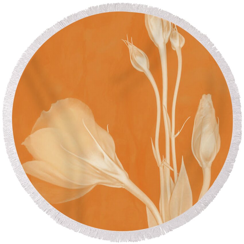 Lisianthus Flowers Round Beach Towel featuring the photograph Elegance in Apricot by Leda Robertson