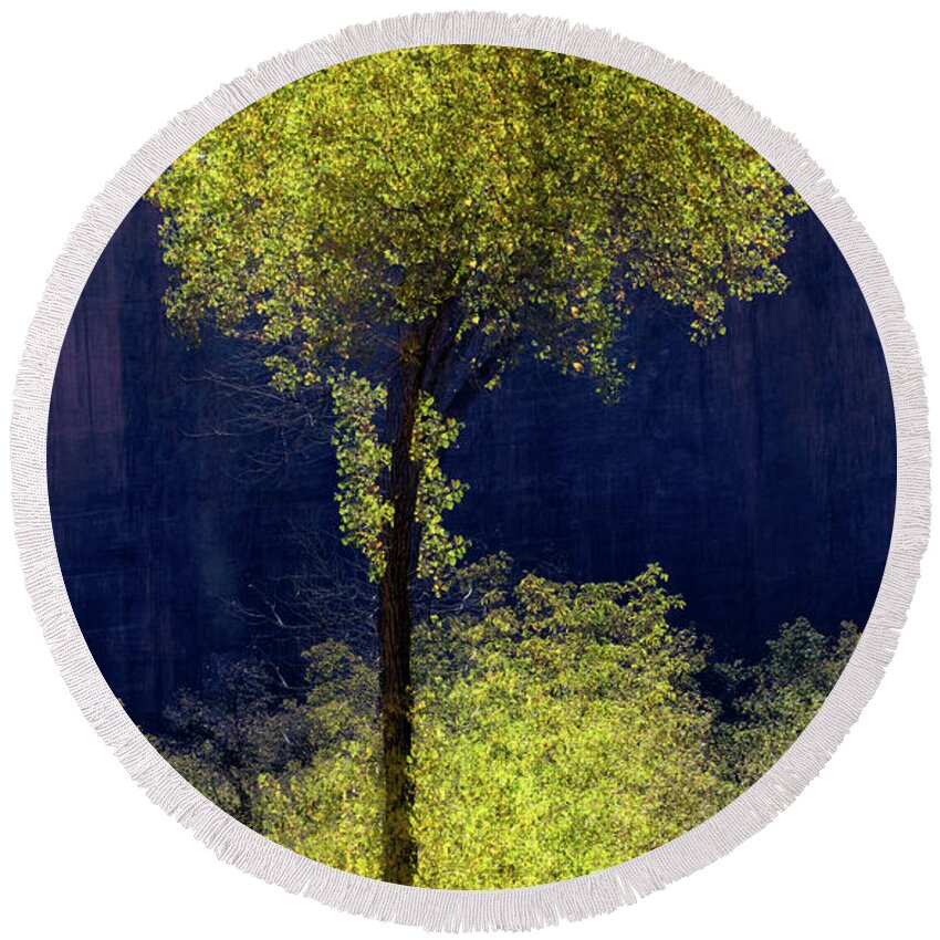 Cottonwood Tree Round Beach Towel featuring the photograph Elegance in the Park Vertical Adventure Photography By Kaylyn Franks by Kaylyn Franks
