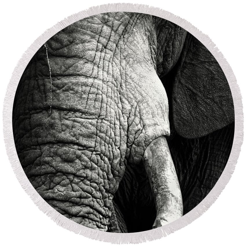 Elephant Round Beach Towel featuring the photograph Elephant close-up portrait by Johan Swanepoel
