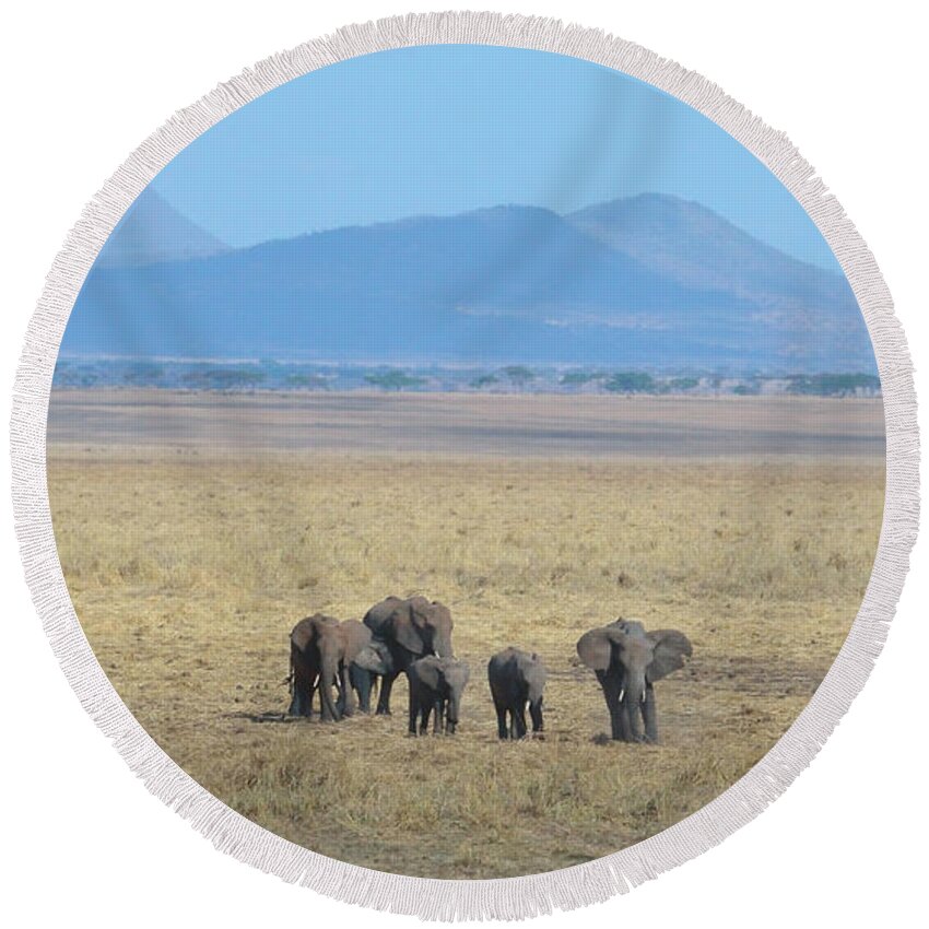 Family Round Beach Towel featuring the photograph Elephant Family Scenic Backdrop Tanzania by Tom Wurl