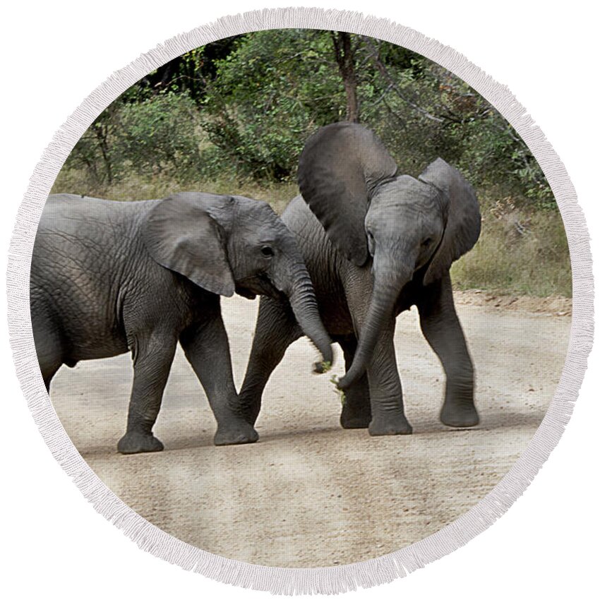 Elephants Round Beach Towel featuring the photograph Elephants Childs Play by Norma Warden