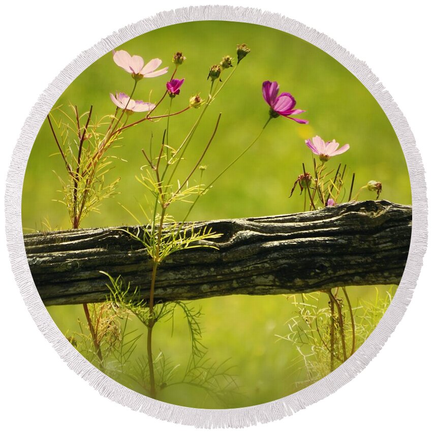 Green Round Beach Towel featuring the photograph Emerging Beauties - 01-rgnl-sq by Variance Collections