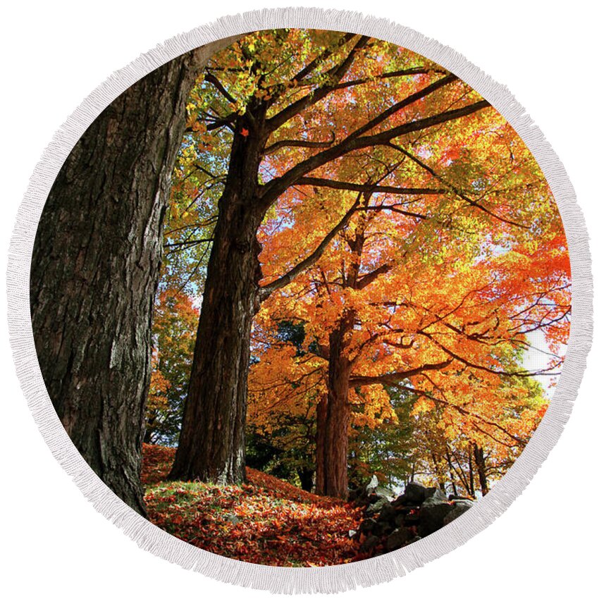 Photography Round Beach Towel featuring the photograph Emery Farm Trees Fall Foliage by Brett Pelletier