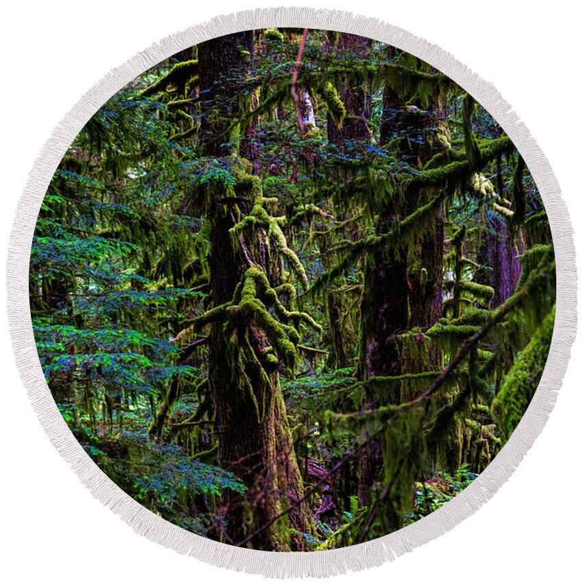 Rain Forest Round Beach Towel featuring the photograph Enchanted by Alana Thrower