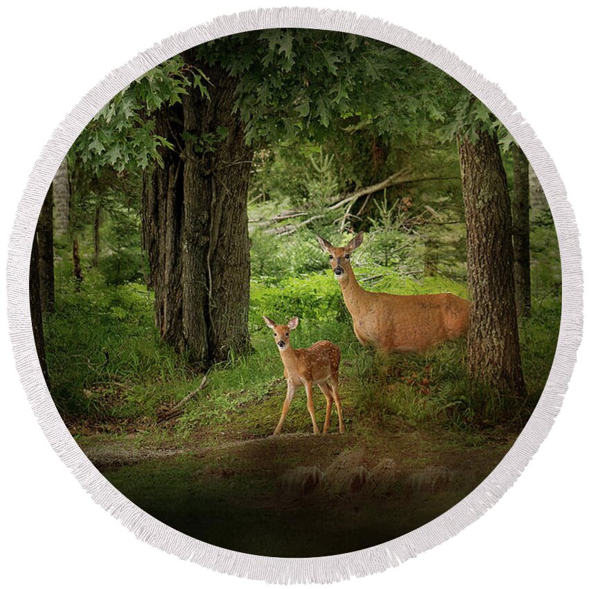 Deer Print Round Beach Towel featuring the photograph Enchanted Forest Deer Print by Gwen Gibson