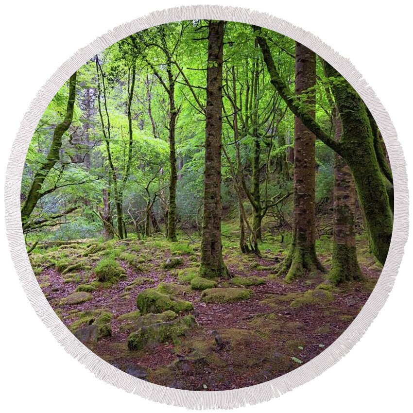 Green Round Beach Towel featuring the photograph Enchanted Woods - 2017 Christopher Buff, www.Aviationbuff.com by Chris Buff