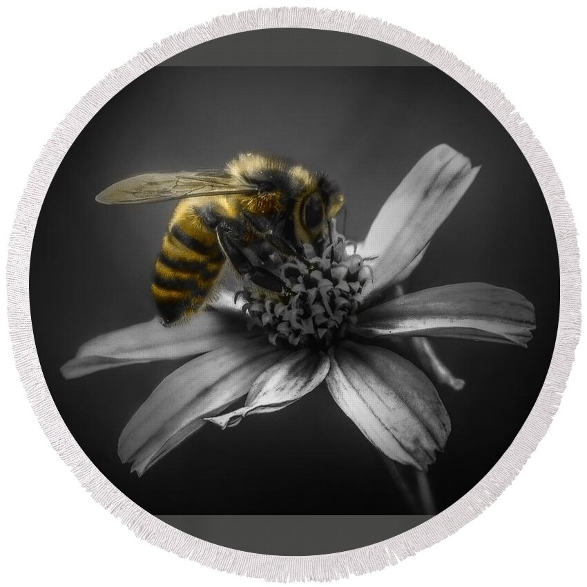 Bee Round Beach Towel featuring the photograph Endangered by Brenda Wilcox aka Wildeyed n Wicked