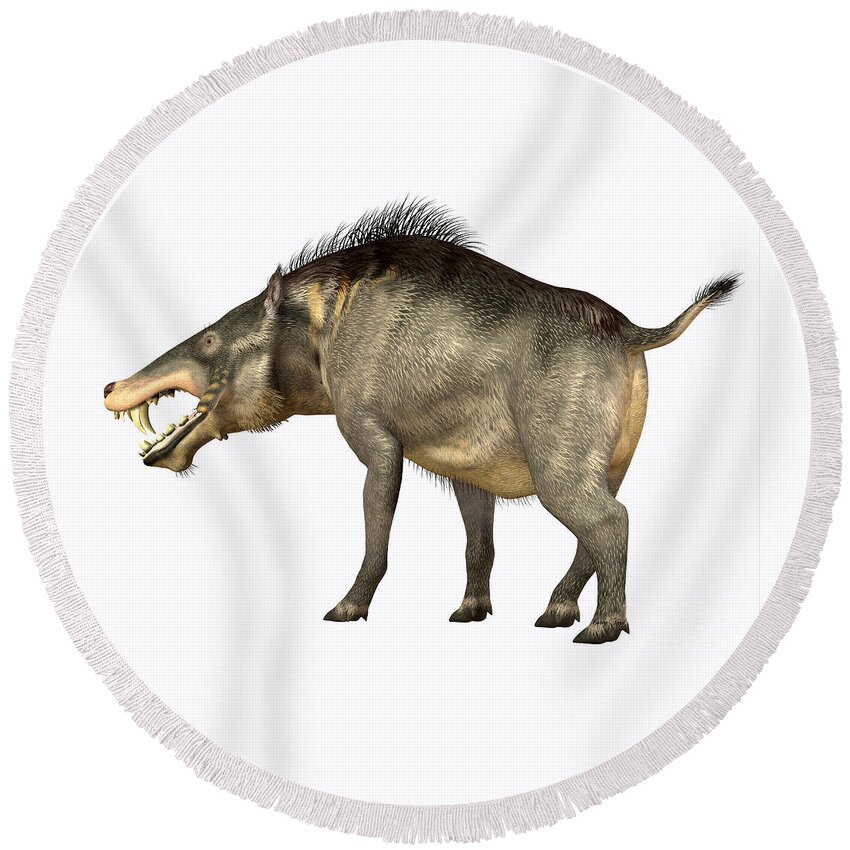 Entelodon Round Beach Towel featuring the painting Entelodon Omnivore by Corey Ford