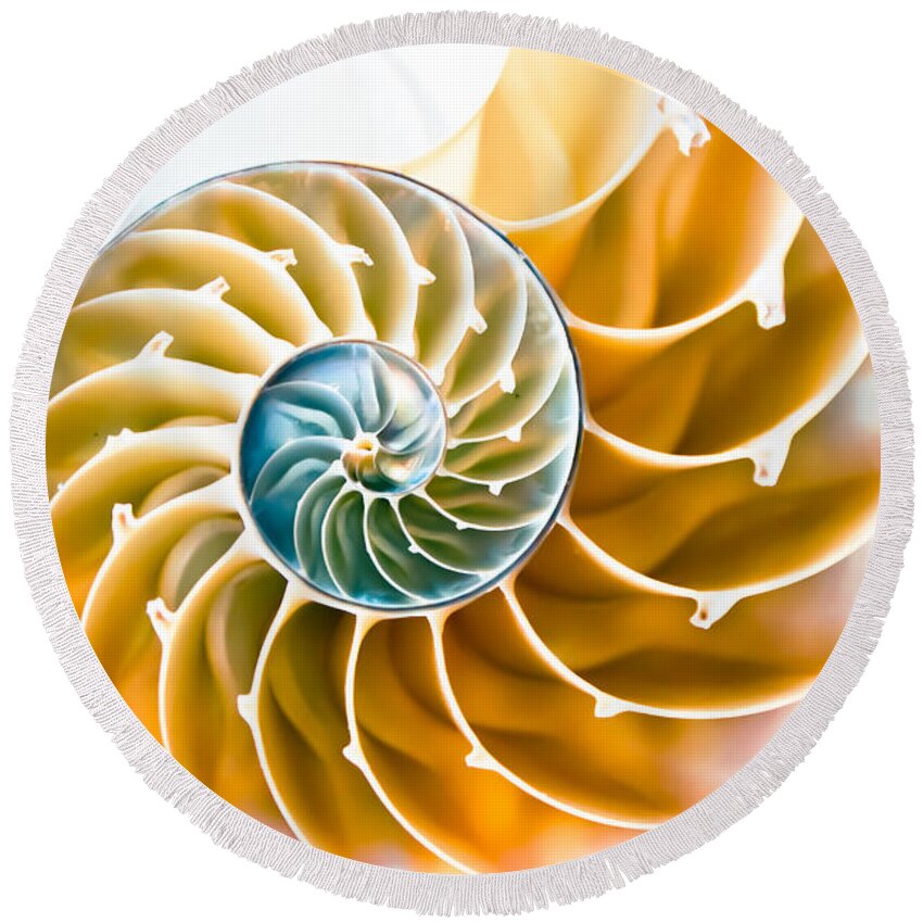 Nautilus Round Beach Towel featuring the photograph Eternal Golden Spiral by Colleen Kammerer