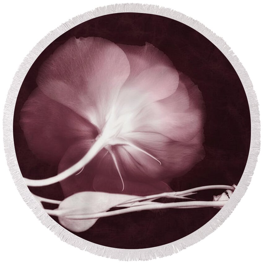 Lisianthus Flowers Round Beach Towel featuring the photograph Ethereal by Leda Robertson