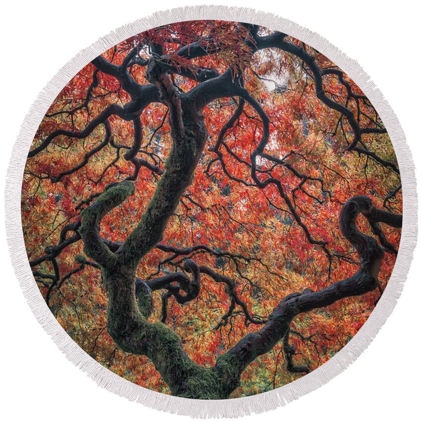 Life Round Beach Towel featuring the photograph Ethereal Tree by Darren White
