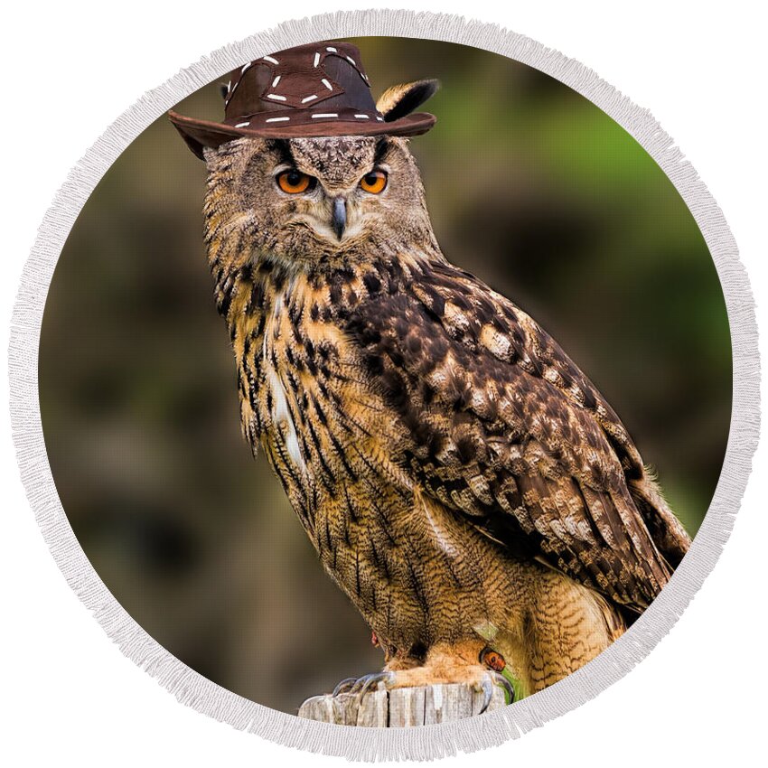 Birds Round Beach Towel featuring the photograph Eurasian Eagle Owl with a cowboy hat by Les Palenik