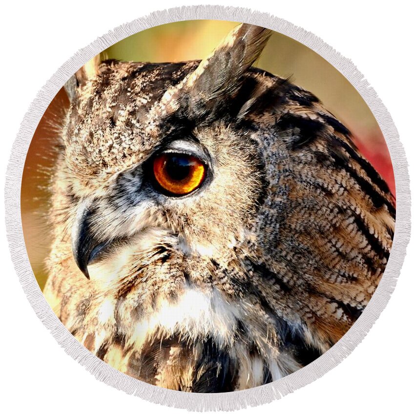 Owl Round Beach Towel featuring the photograph Eurasion Eagle Owl by Amy McDaniel