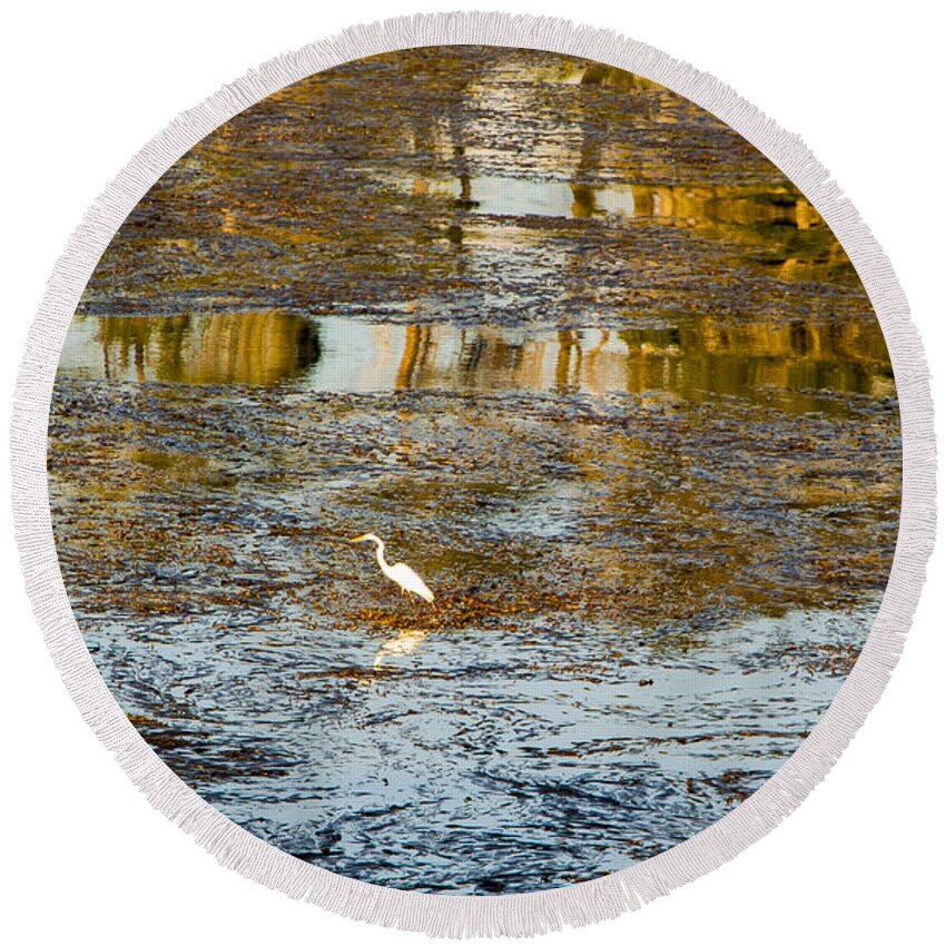 Egret Round Beach Towel featuring the photograph Evening Reflections in Carmel by Venetia Featherstone-Witty