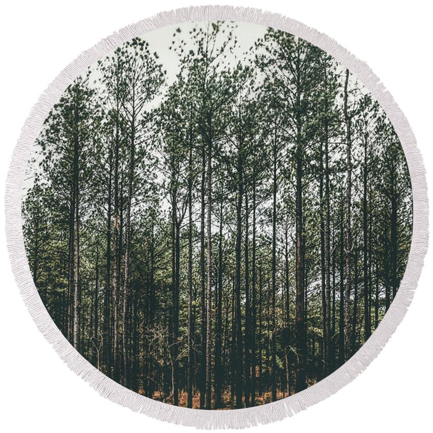 Moody Round Beach Towel featuring the photograph Evergreen by Andrea Anderegg