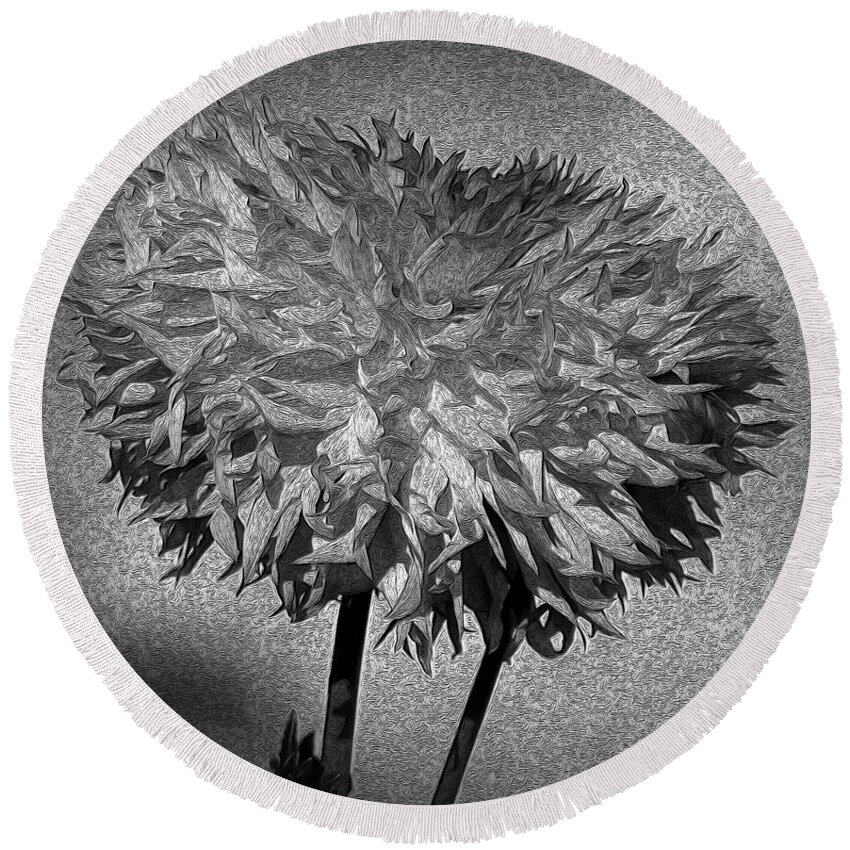  Dahlia Round Beach Towel featuring the photograph Exotic Dahlia In Black And White by Jeanette C Landstrom