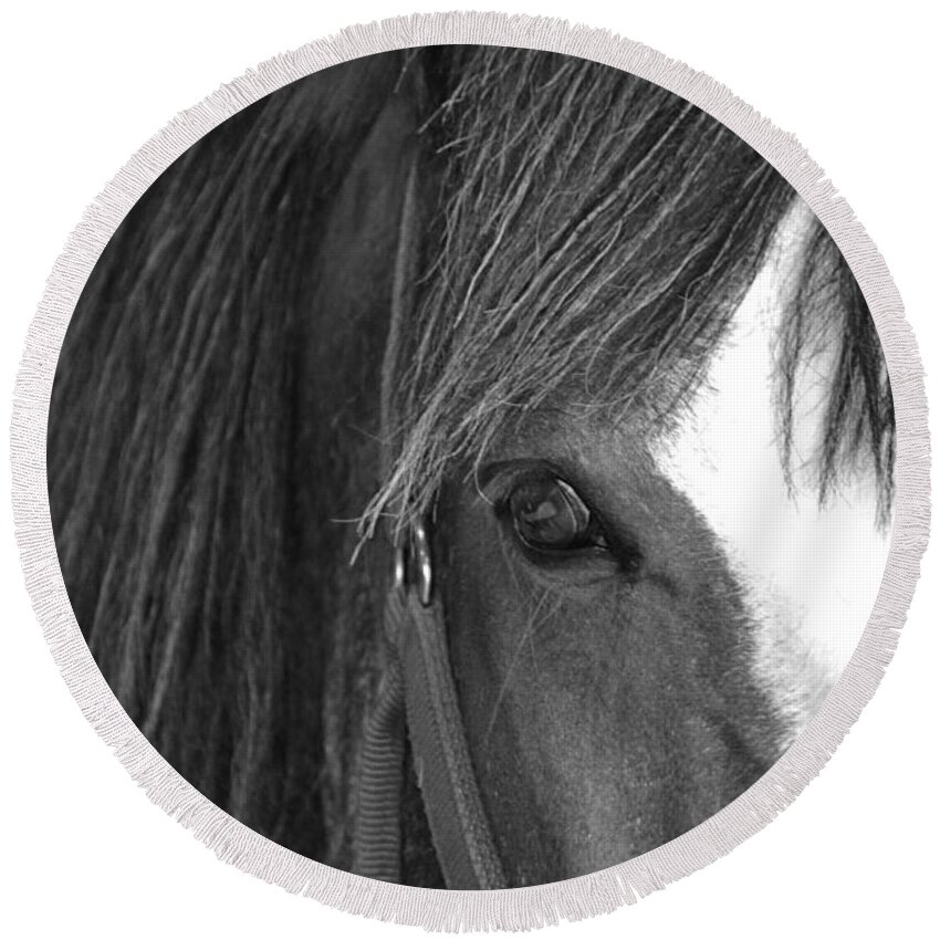 Horse Round Beach Towel featuring the photograph Eyes by Traci Cottingham