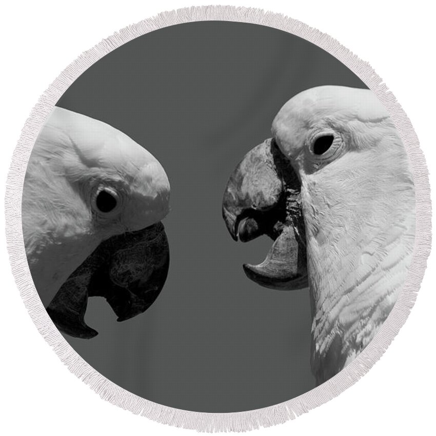 Cockatoo Round Beach Towel featuring the photograph Face to Face IV BW by David Gordon