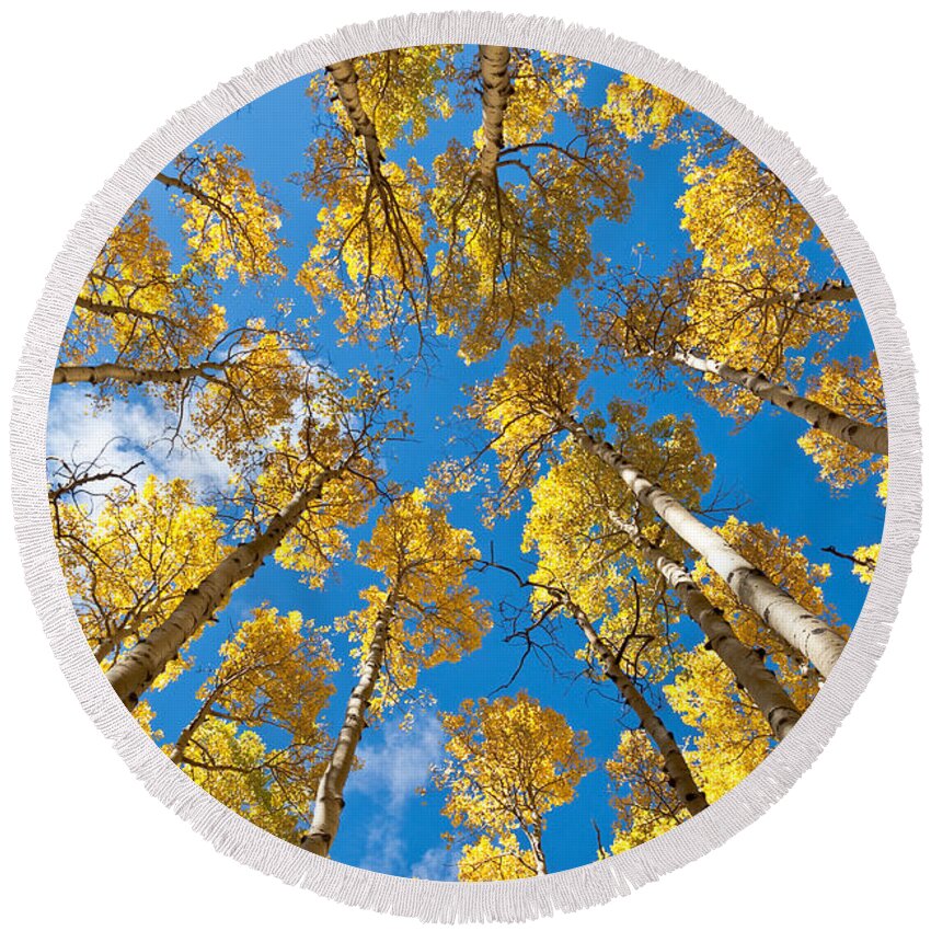 Arizona Round Beach Towel featuring the photograph Fall Colored Aspens in the Inner Basin by Jeff Goulden