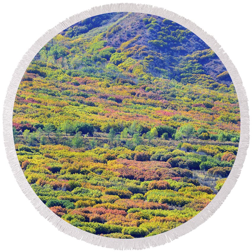Colorado Round Beach Towel featuring the photograph Fall Colors on the Foothills of Glenwood Spring by Ray Mathis