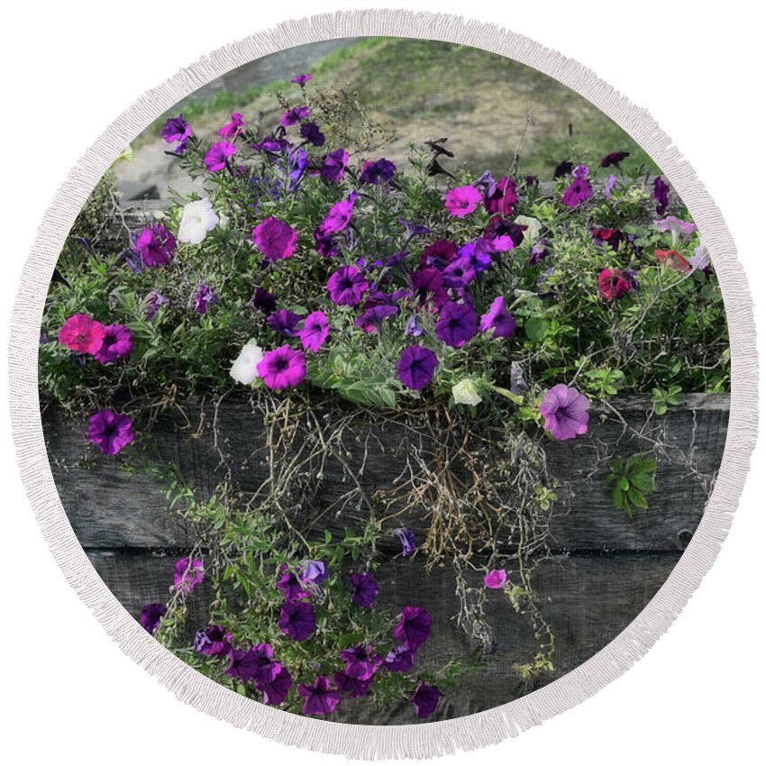 Purple Round Beach Towel featuring the photograph Fall Flower Box by Joanne Coyle