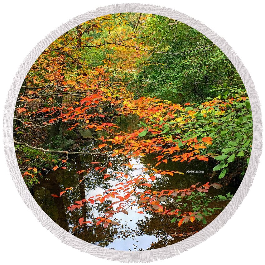 Fall Leaves Round Beach Towel featuring the photograph Fall is in the Air by Rafael Salazar