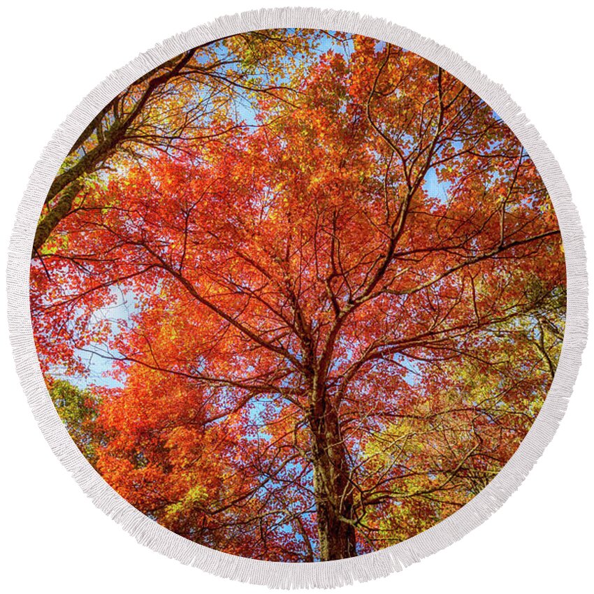 Landscape Round Beach Towel featuring the photograph Fall Red by Joe Shrader