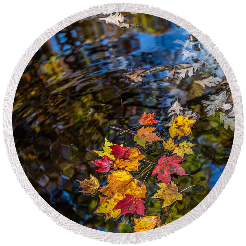 Pisgah National Forest Round Beach Towel featuring the photograph Fall Reflection - Pisgah National Forest by Donnie Whitaker