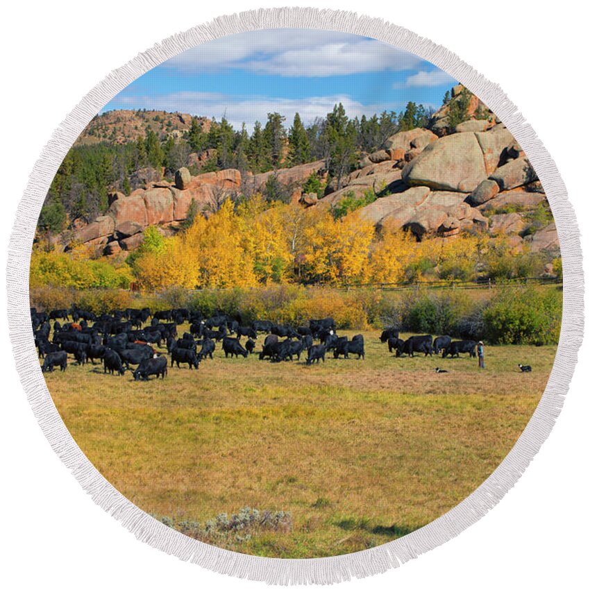 Wyoming Round Beach Towel featuring the photograph Fall Roundup by Nancy Dunivin