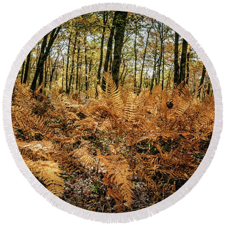 Landscape Round Beach Towel featuring the photograph Fall Rust by Joe Shrader