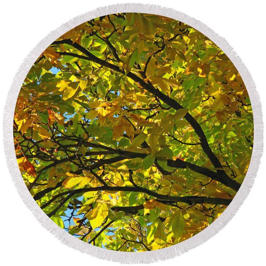 Tree Round Beach Towel featuring the photograph Fall Tree by Juergen Roth