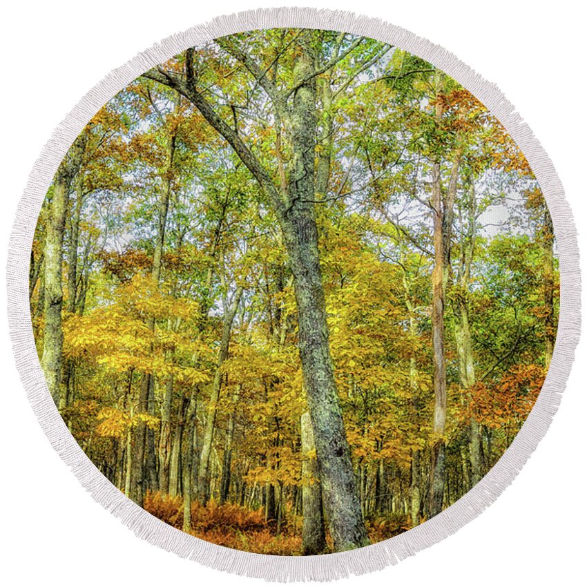 Landscape Round Beach Towel featuring the photograph Fall Yellow by Joe Shrader