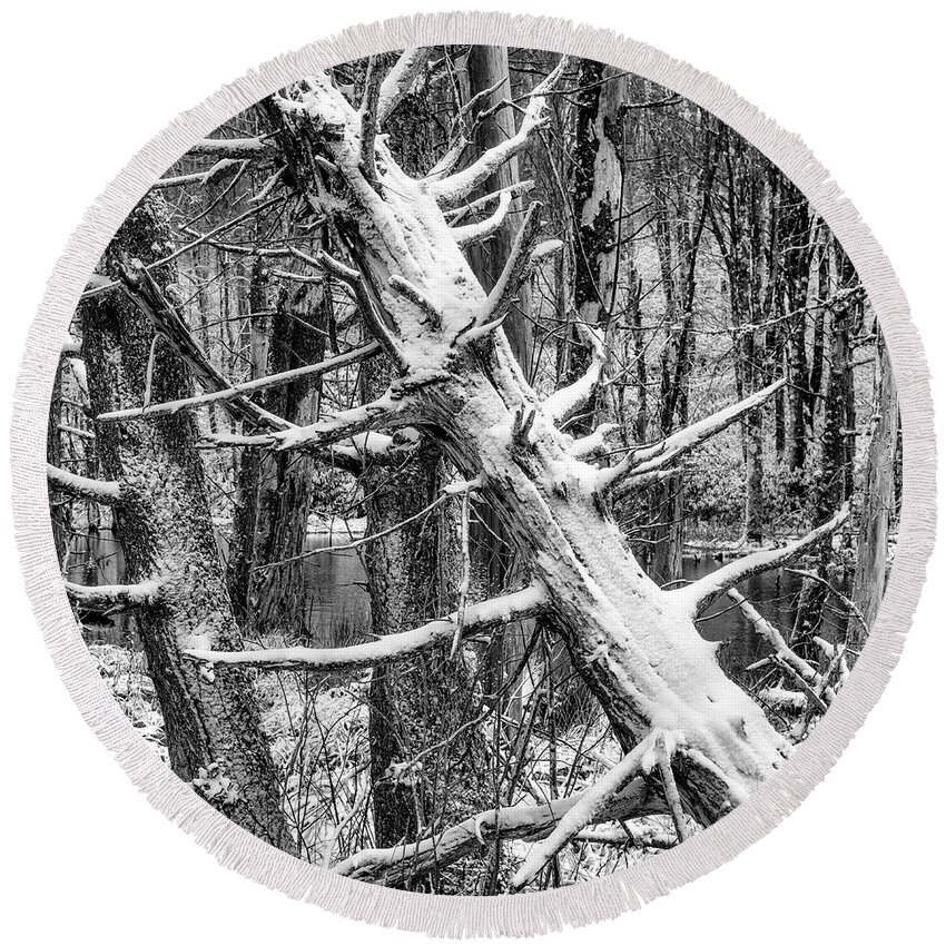 Autumn Round Beach Towel featuring the photograph Fallen Tree and Snow by Thomas R Fletcher