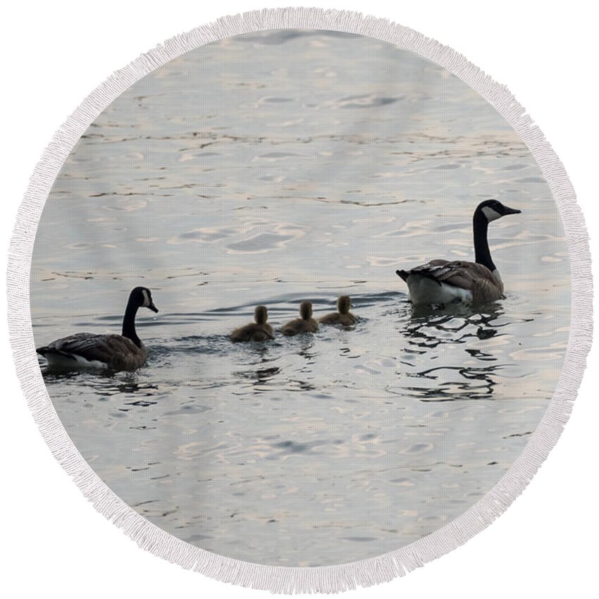 Goose Round Beach Towel featuring the photograph Family of Canada Geese on the Ohio River by Holden The Moment
