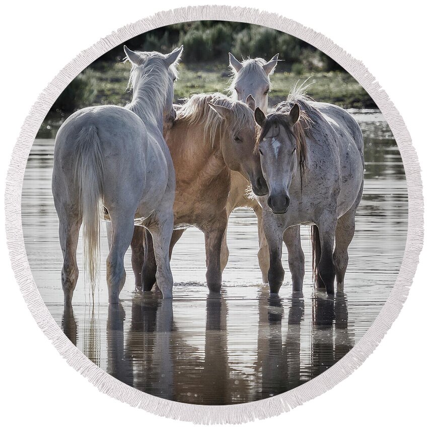 Wild Horses Round Beach Towel featuring the photograph Family Time Sq by Belinda Greb
