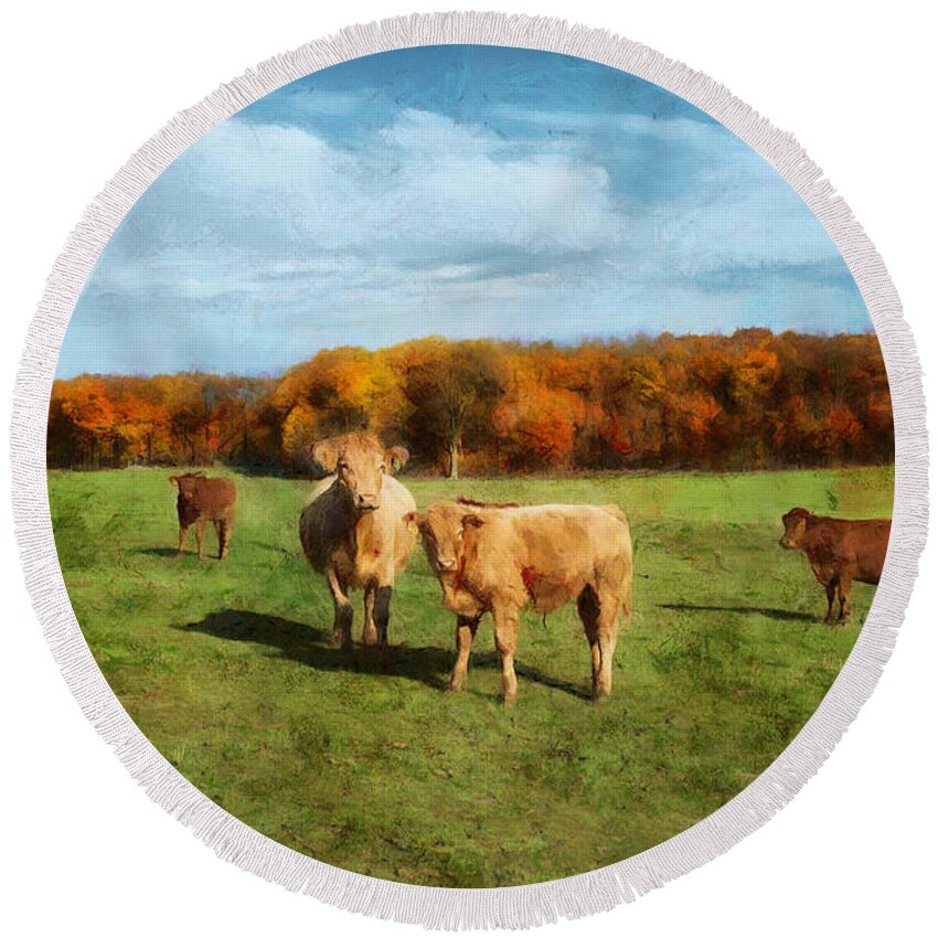 Fields Round Beach Towel featuring the digital art Farm Field and Brown Cows by JGracey Stinson