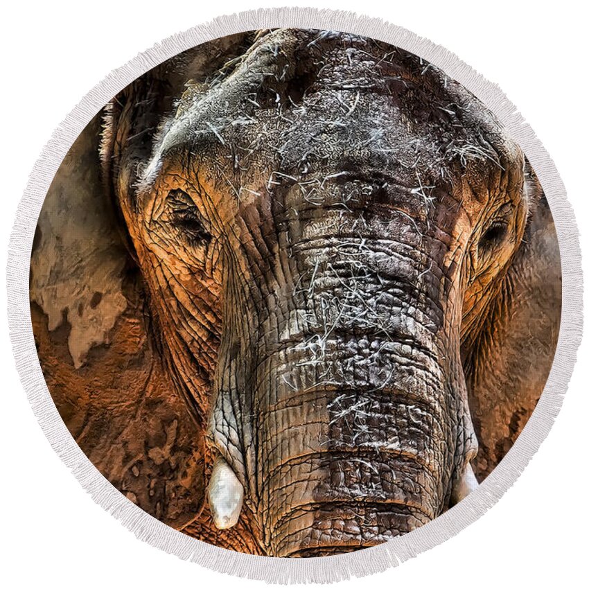 Elephant Round Beach Towel featuring the photograph Fearless by Janet Fikar