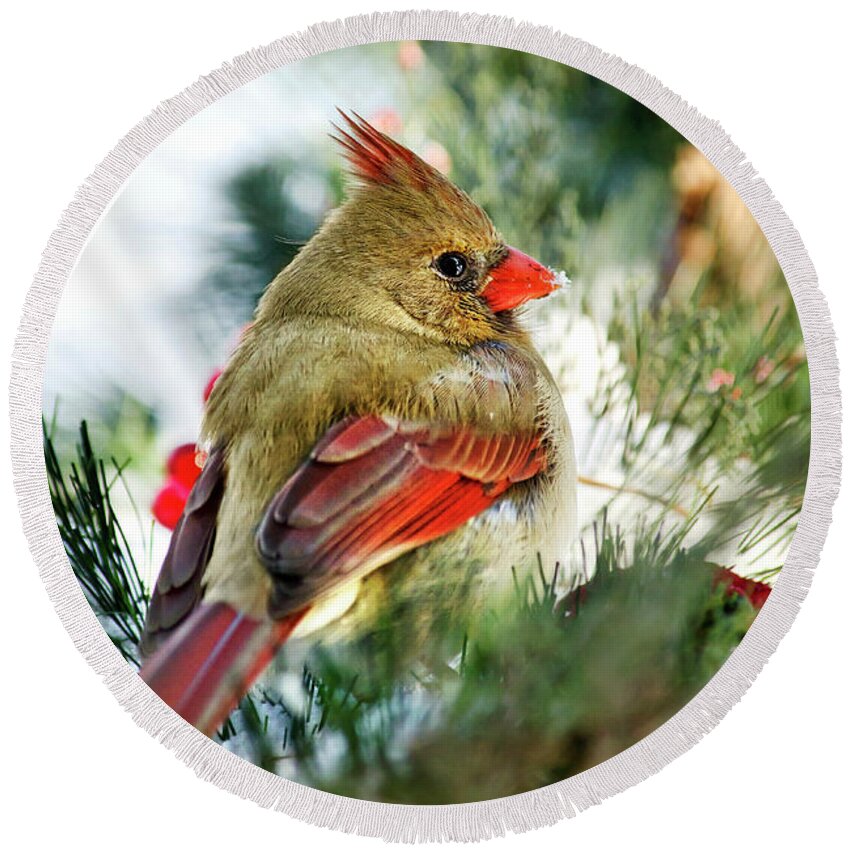 Cardinal Round Beach Towel featuring the photograph Female Northern Cardinal by Christina Rollo