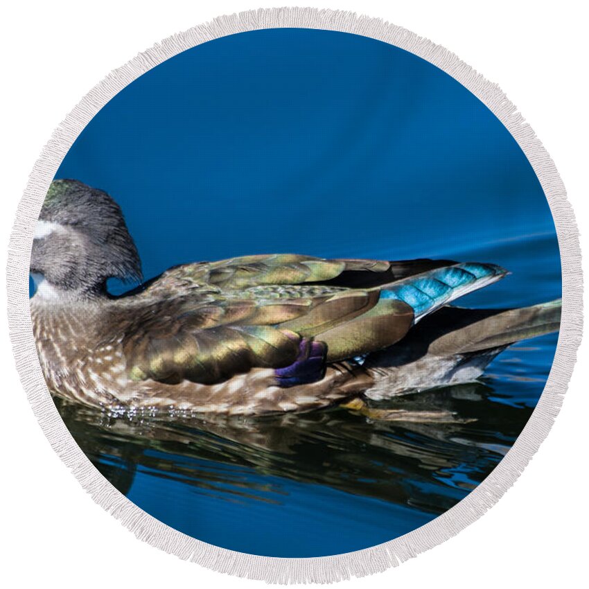Wood Duck Round Beach Towel featuring the photograph Female Wood Duck by Mindy Musick King