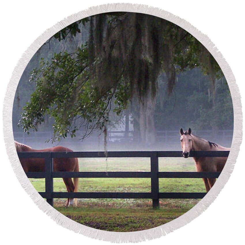 Horses Round Beach Towel featuring the photograph Fenced In by Jerry Griffin