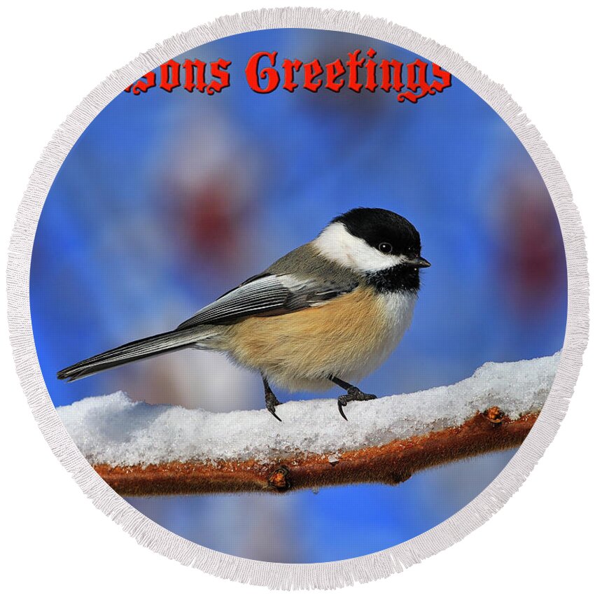 Black-capped Chickadee Round Beach Towel featuring the photograph Festive Chickadee by Tony Beck