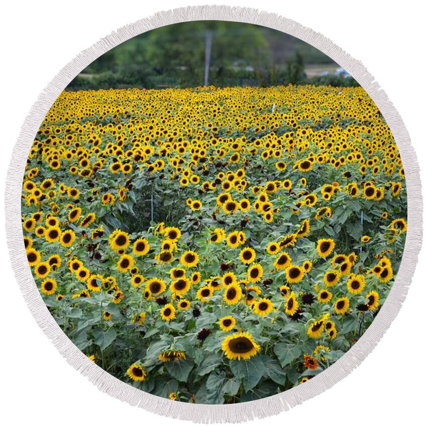Flowers Round Beach Towel featuring the photograph Field of flowers by Joseph Caban