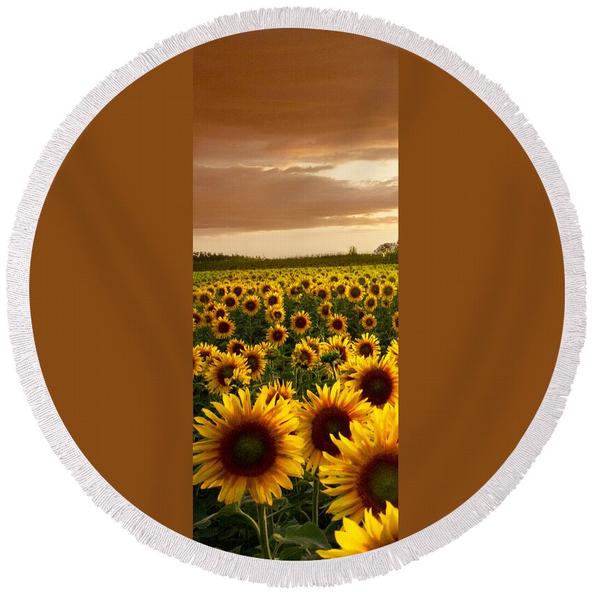 American Round Beach Towel featuring the photograph Fields of Gold Triptek Left Side by Debra and Dave Vanderlaan