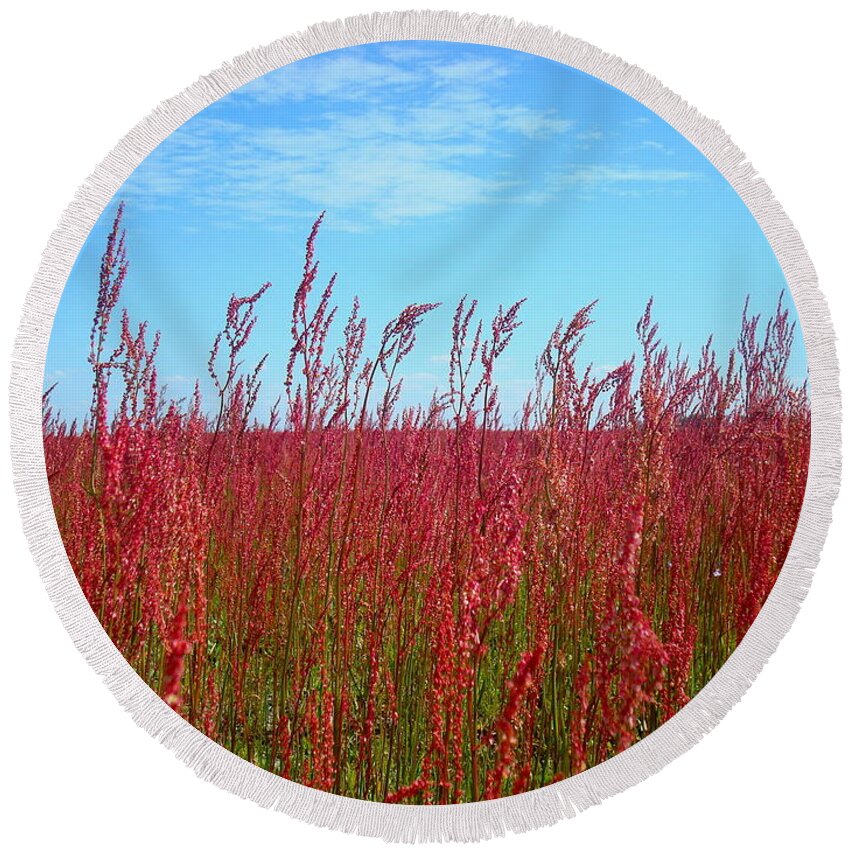 Pink Round Beach Towel featuring the photograph Fields of Pink by Julie Pappas