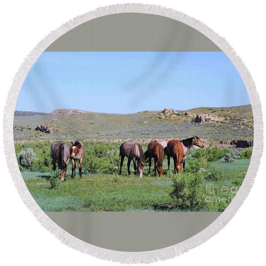 Fillies Round Beach Towel featuring the photograph Fillies Day Out by Merle Grenz
