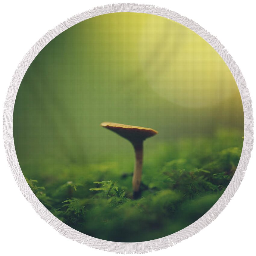 Mushroom Round Beach Towel featuring the photograph Finding On The Forest Floor by Shane Holsclaw